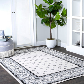 Acanthus French Border Area Rug
